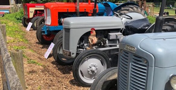 Vintage Tractor Ploughing Competition
